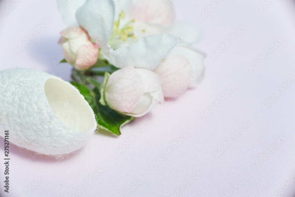 silkworm cocoon close-up for beauty treatments and flowers. space for text. silkworm cocoon close-up for beauty treatments and flowers. space for text.