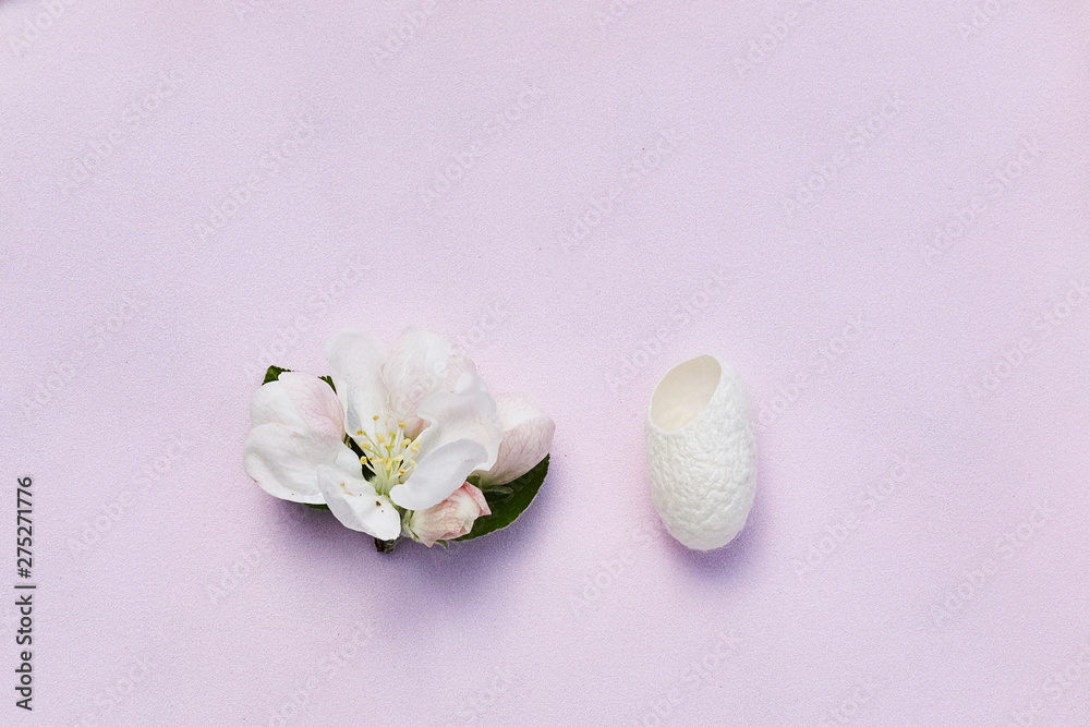 silkworm cocoons and flower on a pink background, top view, copy space. silkworm cocoons and flower on a pink background, top view, copy space.