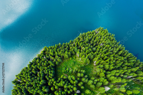 Obraz na płótnie Aerial view of a forest lake. Aerial view of blue lake and green forests on a sunny summer day. Drone photography. Forest and lake border, Toned image from above. Coastline view from the drone. w salonie