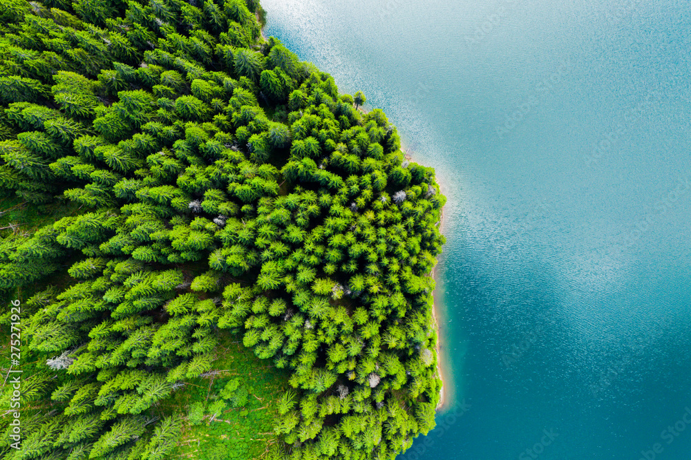 Aerial view of a forest lake. Aerial view of blue lake and green forests on a sunny summer day. Drone photography. Forest and lake border, Toned image from above. Coastline view from the drone.