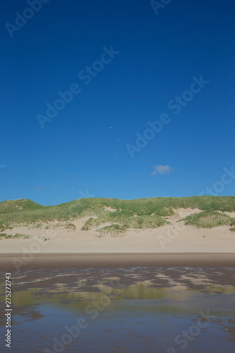 Beach and dunes North Sea coast. Julianadorp