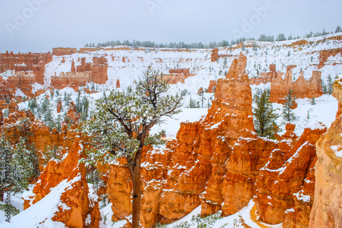 scenic hoodoos in Bryce canyon national park with snow