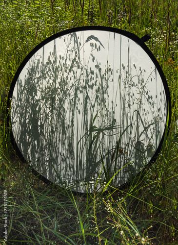 background of grass shadows on diffuse photo reflector on the background of a field with grass