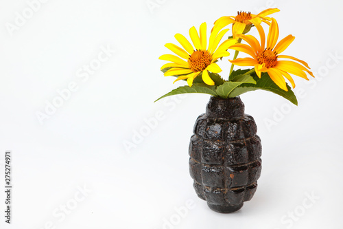 yellow flowers in hand grenade on white background photo