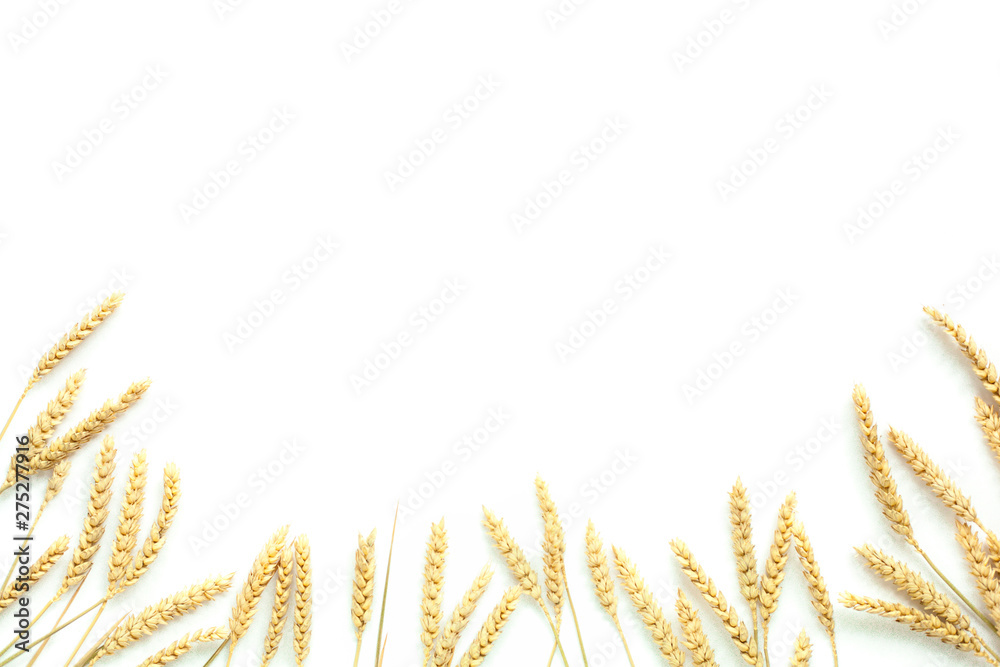 RYE isalated. white background. rustic. 