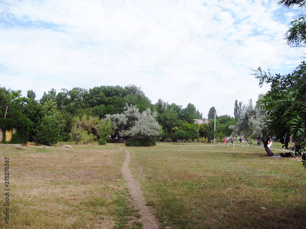 Fototapeta premium The path leading through the meadow in the park complex