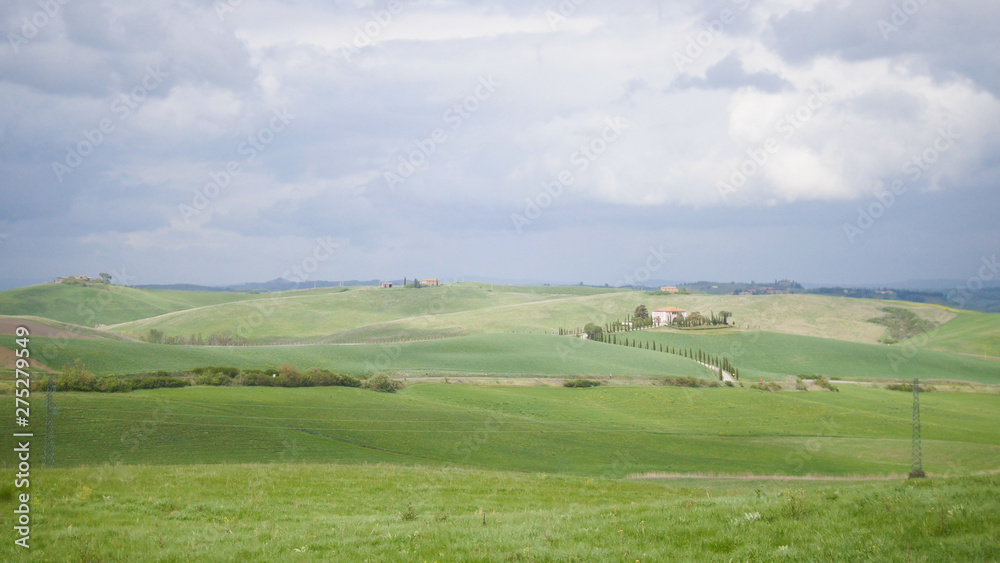 A fresh green field in Toskana, Italy