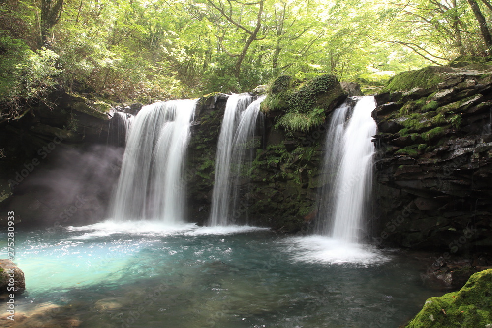 山中の美しい滝