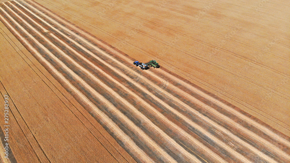 Fototapeta premium Harvester and tractor in a field harvesting wheat. Aerial view from drone.