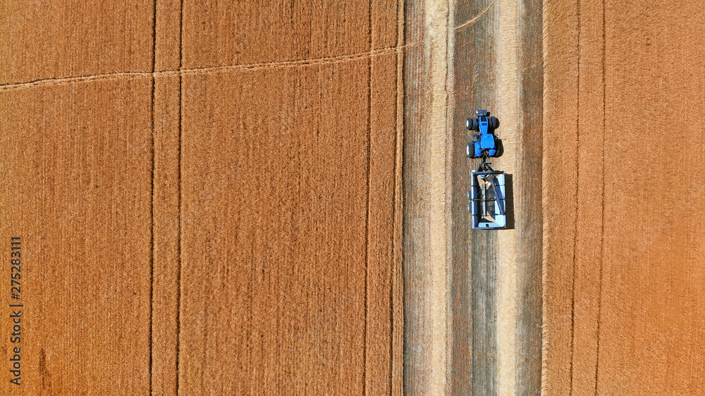 Tractor in a field harvesting wheat. Aerial view from drone. Tractor in a field harvesting wheat. Aerial view from drone.