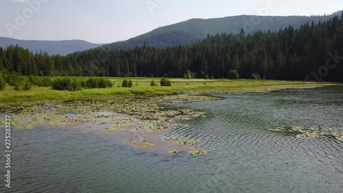 going toward to green field of grass by the lake. going forward, slow and low. aerial(drone) footage. v07 photo