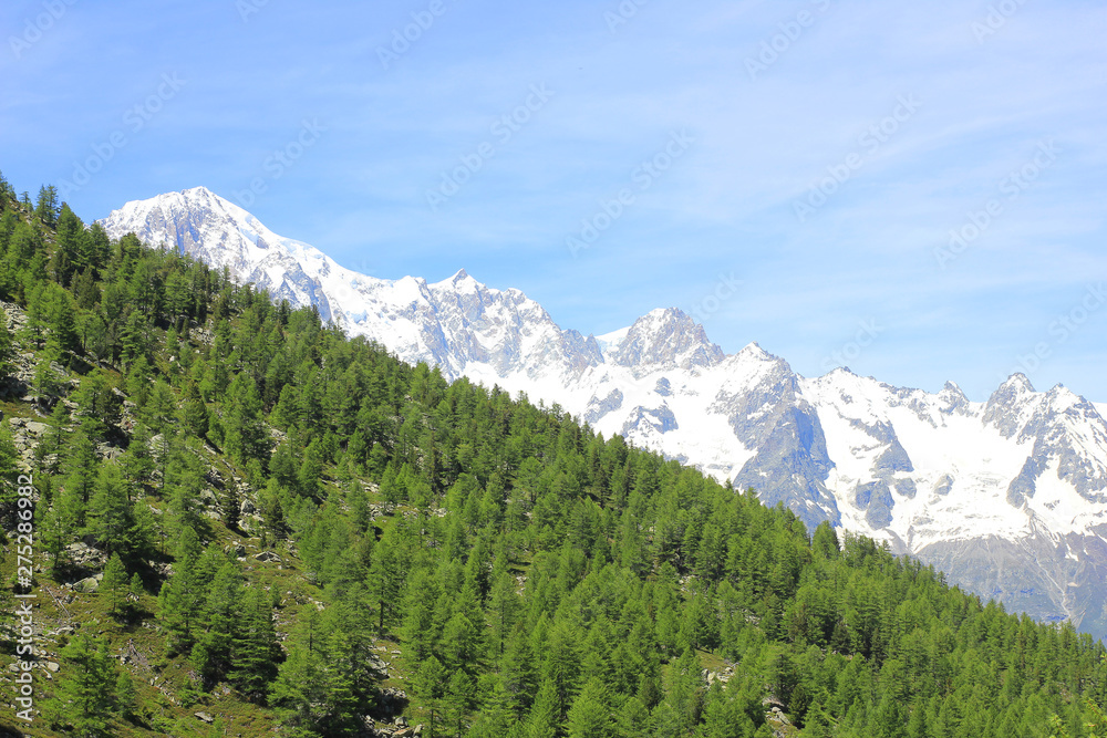 panorama with Mont Blanc chain and forest