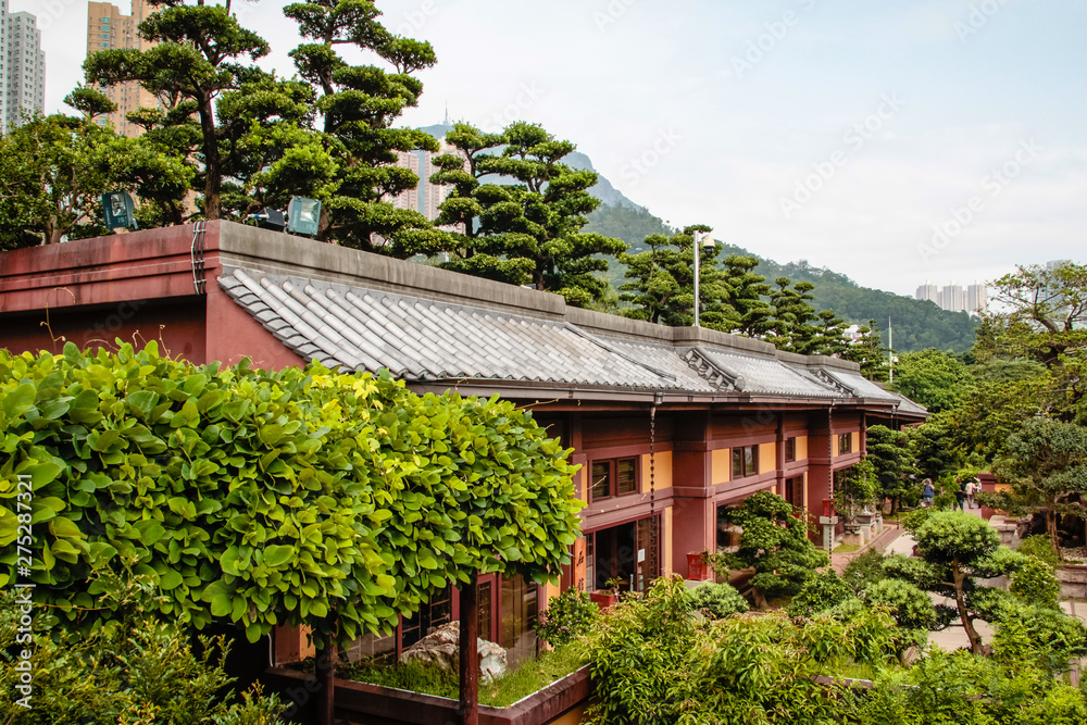 garden, landscape, tree, nature, park, sky, green, summer, grass, palm, trees, blue, plant, tropical, travel, flower, road, path, architecture, lawn, beautiful, day, bridge, view, forest garden, landscape, tree, nature, park, sky, green, summer, grass, palm, trees, blue, plant, tropical, travel, flower, road, path, architecture, lawn, beautiful, day, bridge, view, forest