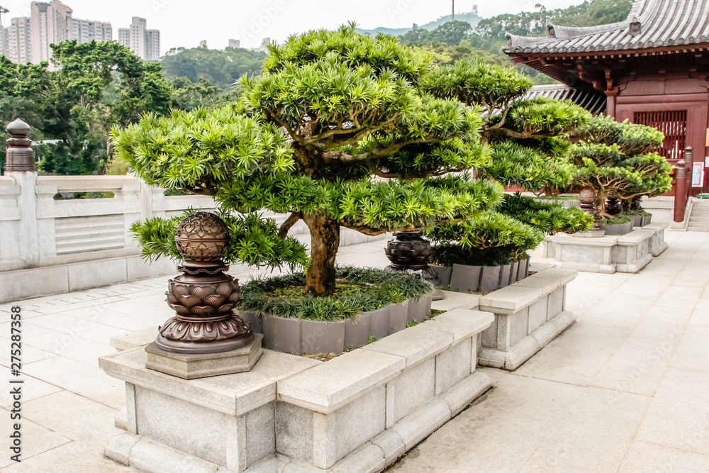 Chi Lin Nunnery is located at the Diamond Hill in the north of Kowloon, Hong Kong Chi Lin Nunnery is located at the Diamond Hill in the north of Kowloon, Hong Kong