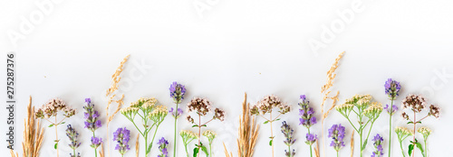Alternative medicine. Medicinal herbs lavender, oregano, sage, yarrow on a white background. Top view, copy space, banner.