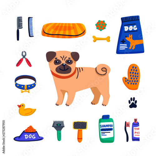 Pet care concept. Cute Pug and dog care goods on white background. Dog care, grooming, hygiene, health. Pet shop, accessories. Flat style vector illustration.