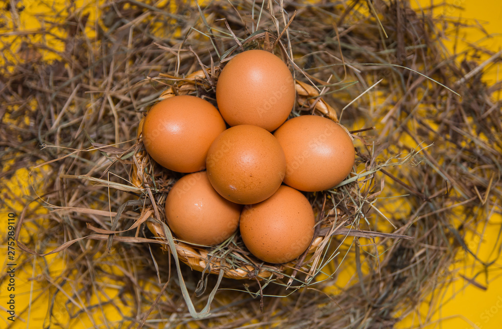 Eggs in a nest of branches on a yellow background. Brown rim with eggs Eggs in a nest of branches on a yellow background. Brown rim with eggs
