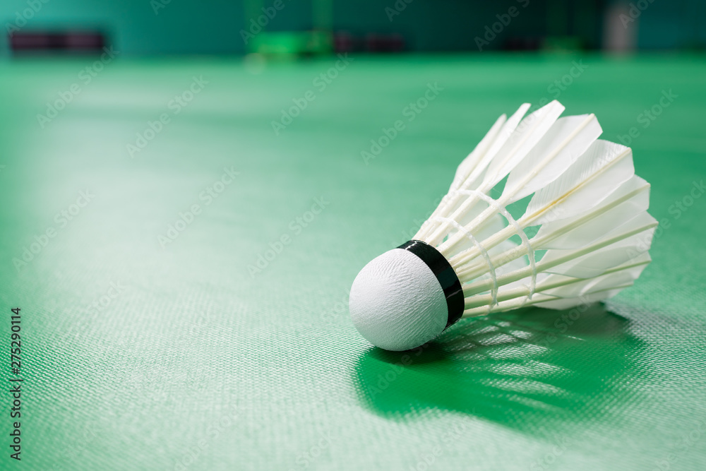 White badminton shuttlecock light shading on a green floor at indoor badminton  court. Stock-Foto | Adobe Stock