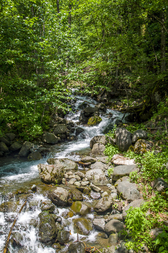 Spray and foam of a mountain river. The picturesque nature of the Mountains