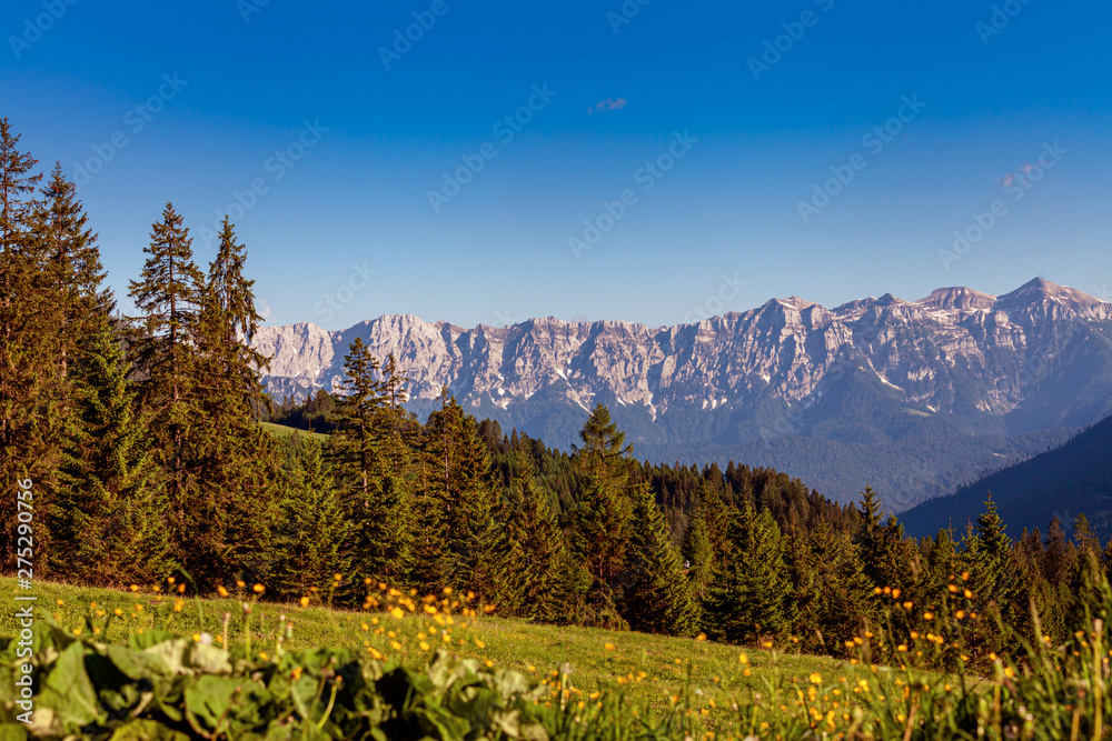 The Pale of San Martino group