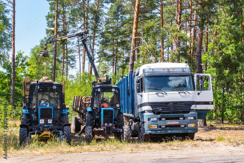 Deforestation and automated loading onto a truck vehicle Deforestation and automated loading onto a truck vehicle