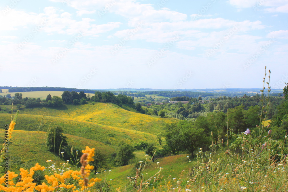 Obraz premium beautiful summer landscape with green field and blue sky