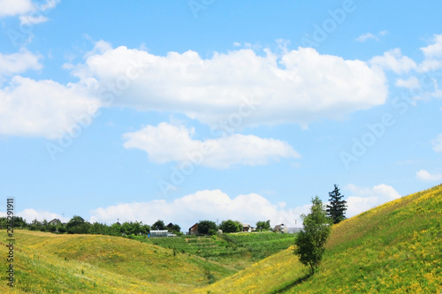 beautiful summer landscape with green field and blue sky