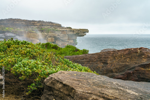 hikink in the royal national park, eaglehead rock, australia 32 photo