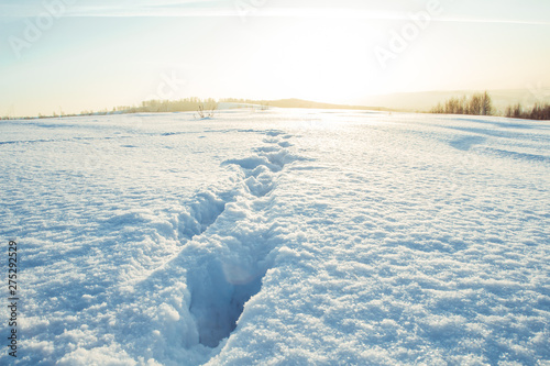 evening winter landscape  traces of a man in the snow. go far. winter snow