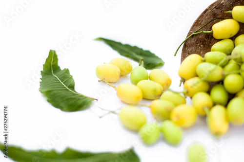 Neem fruit or nim fruit or Indian lilac fruit in a clay bowl isolated on white along with some fresh leaves also.Horizontal shot. photo