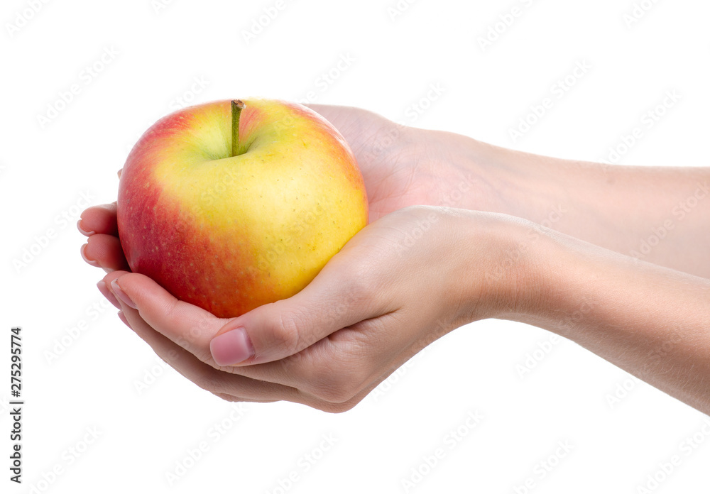 Apple in hand on white background isolation Apple in hand on white background isolation
