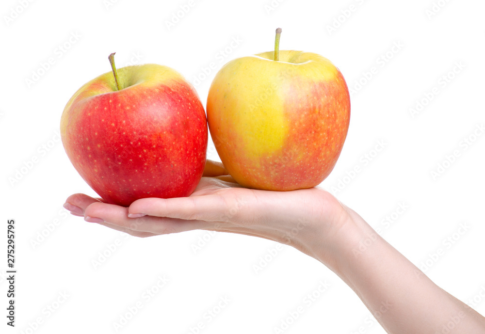 Apple in hand on white background isolation Apple in hand on white background isolation