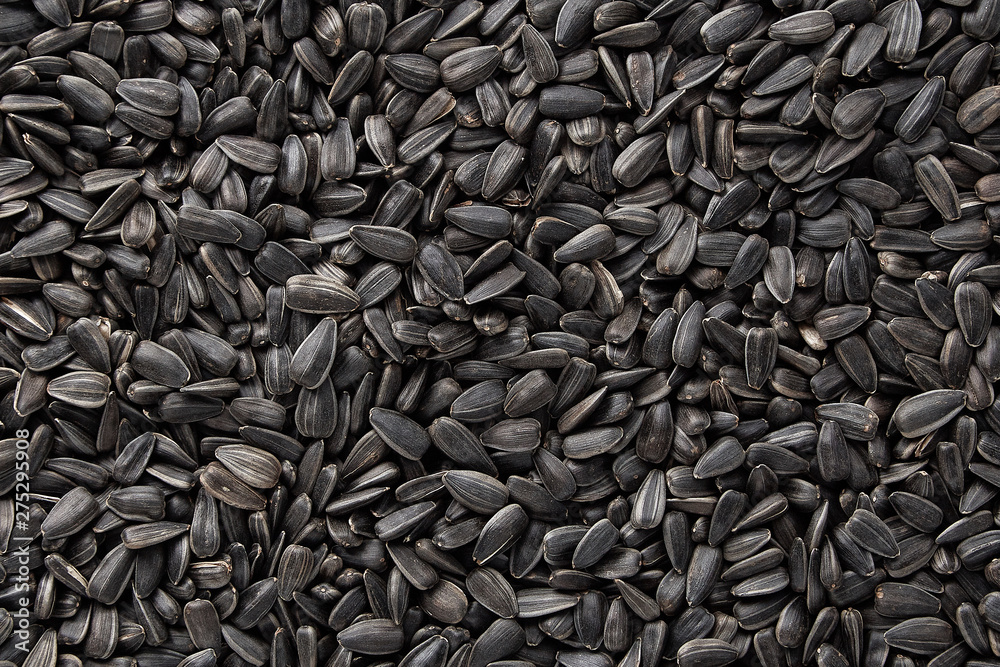 Black sunflower seeds. Black sunflower seeds for texture or background. Black sunflower seeds macro close up Black sunflower seeds. Black sunflower seeds for texture or background. Black sunflower seeds macro close up
