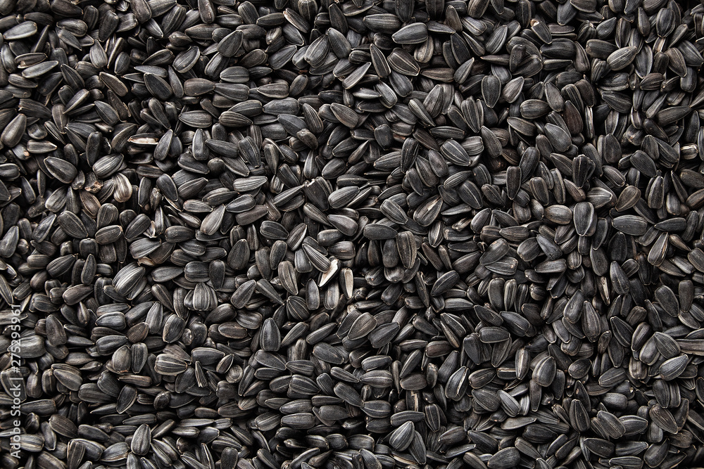 Black sunflower seeds. Black sunflower seeds for texture or background. Black sunflower seeds macro close up Black sunflower seeds. Black sunflower seeds for texture or background. Black sunflower seeds macro close up