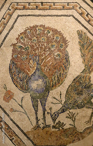 Colourful visions of ancient Rome. Polychrome Roman Mosaics from Bulgaria photo