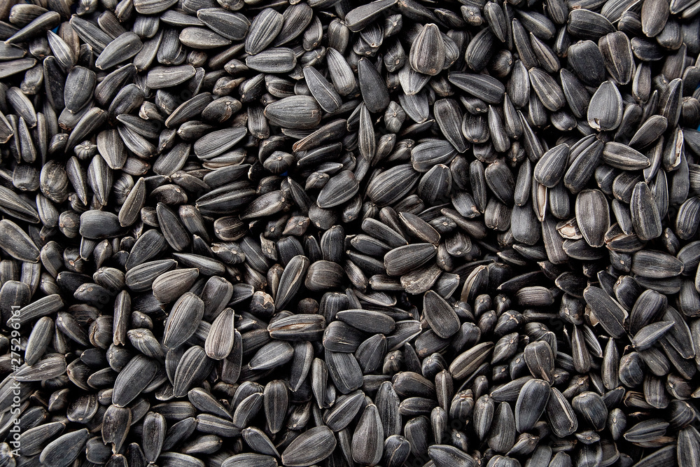 Black sunflower seeds. Black sunflower seeds for texture or background. Black sunflower seeds macro close up Black sunflower seeds. Black sunflower seeds for texture or background. Black sunflower seeds macro close up