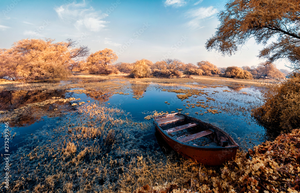 Beautiful Infrared Landscape! Stranded boat amidst the lake