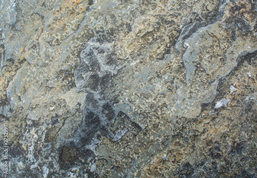 The texture of the stone. Untreated marble. Natural background