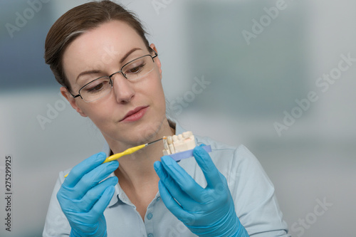 painting work at dental imprint with artificial dentition in a dental laboratory
