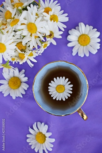Fresh chamomile flowers and healthy tea on a lilac background.Alternative medicine.