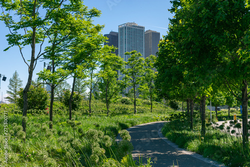 Green Curving Trail at a Park with Residential Buildings in the Streeterville Neighborhood of Chicago photo