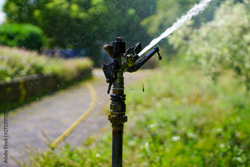 Sprinkler head watering in green park