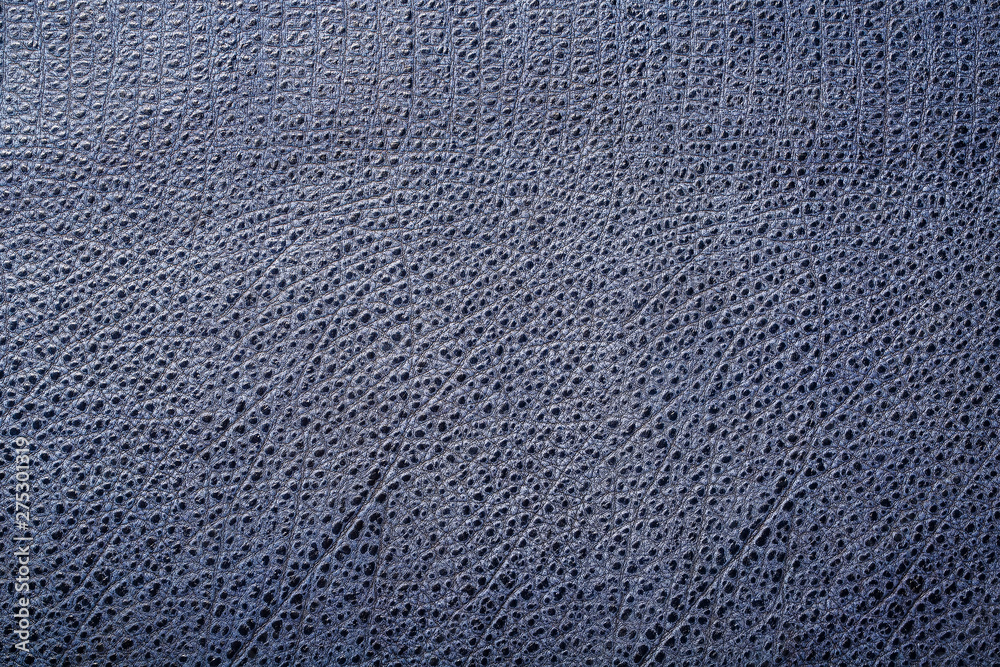 Blue textured leather reptiles, used texture for the background. Lizard or crocodile skin Blue textured leather reptiles, used texture for the background. Lizard or crocodile skin