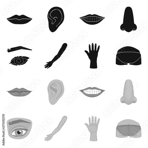 Vector illustration of body and part icon. Set of body and anatomy vector icon for stock.