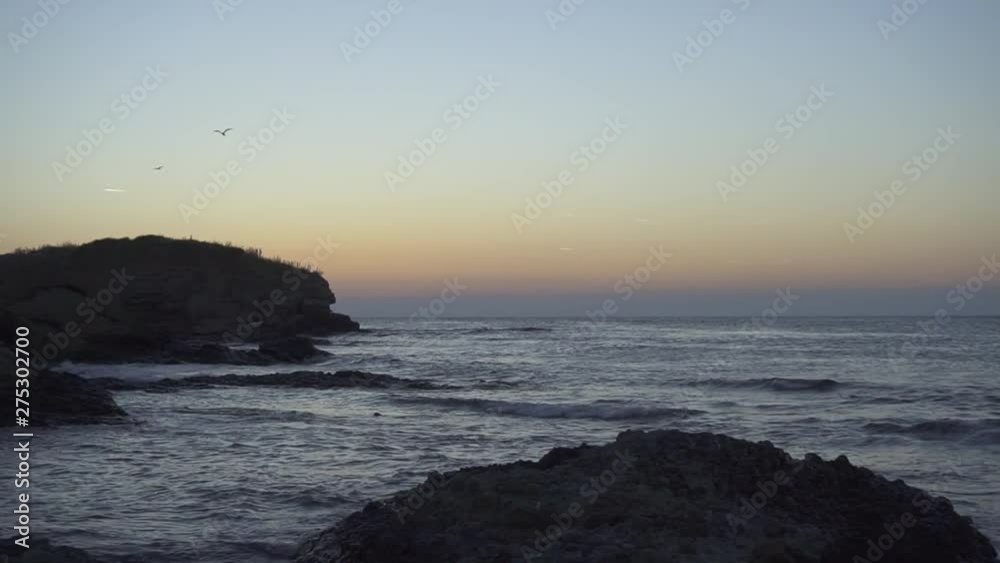 Before dawn rocky coast with flying birds. Slow mo dolly push
