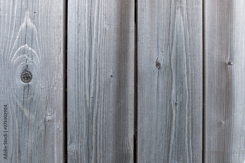 background of a dry tree. texture of cracked wood. copy space background of a dry tree. texture of cracked wood. copy space