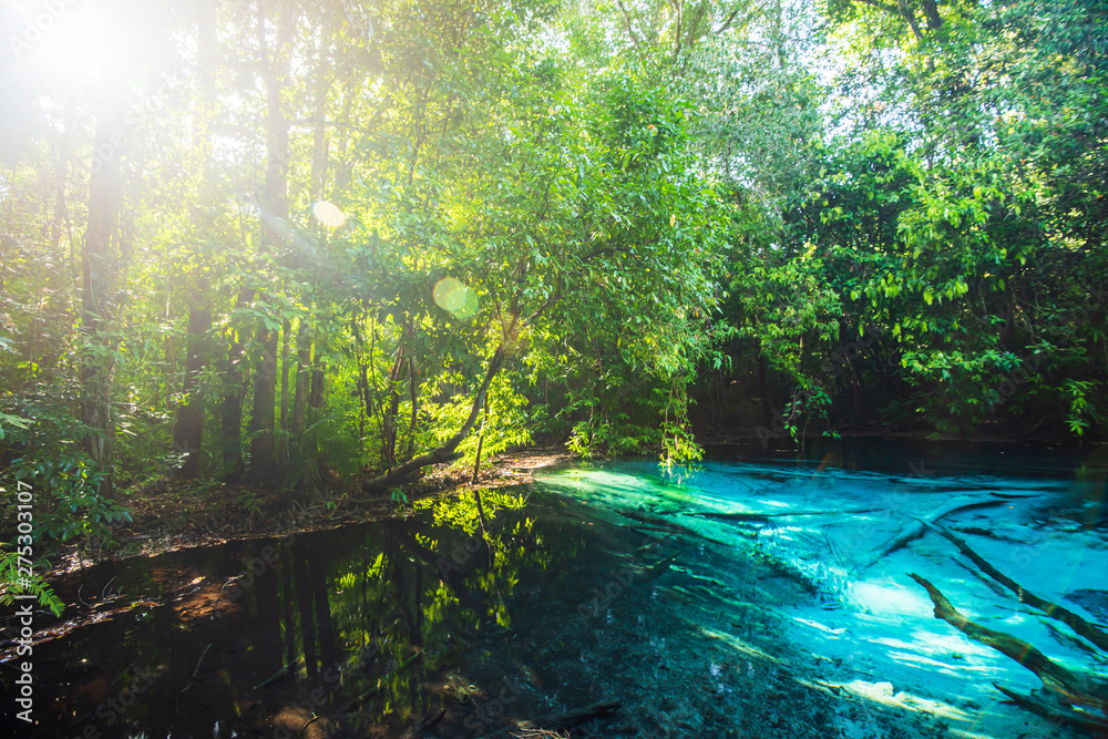 Gorgeous emerald pool in the lowland forest at sunrise.