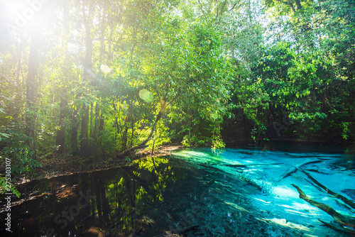 Gorgeous emerald pool in the lowland forest at sunrise.