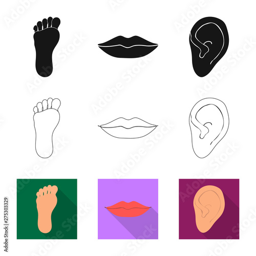 Isolated object of body and part symbol. Set of body and anatomy stock vector illustration.