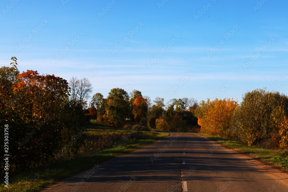 Obraz premium View of the road and trees on a sunny clear day